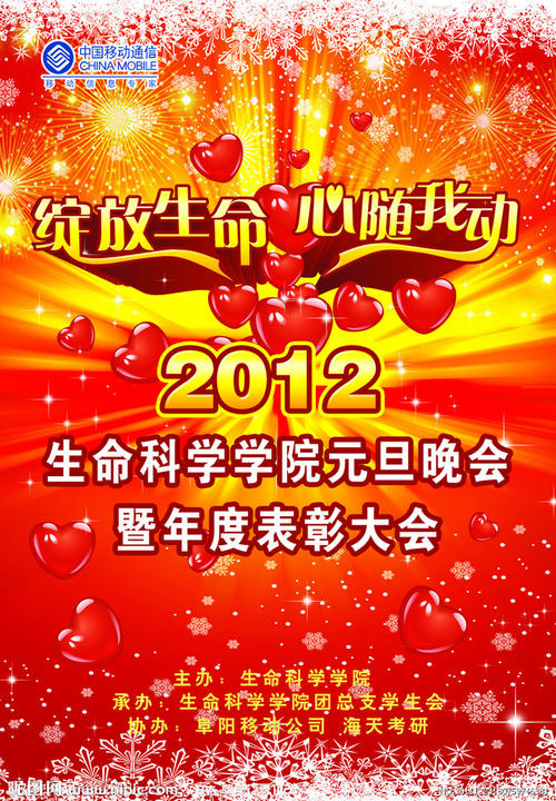 买假农业银行流水
